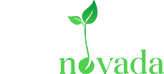 Logo Tierra Renovada